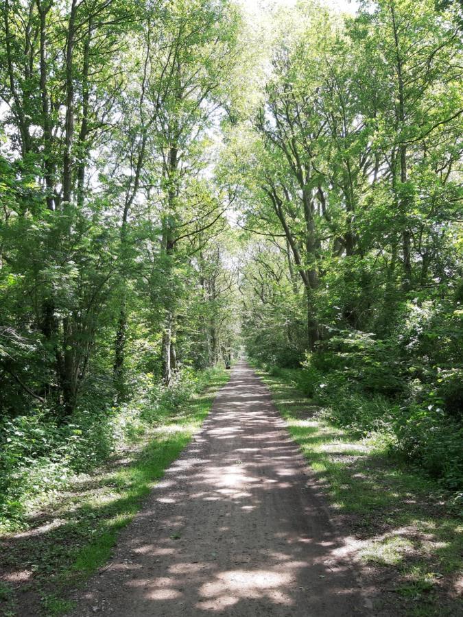 Ferienwohnung Am Ostfriesland-Wanderweg Rhauderfehn Экстерьер фото