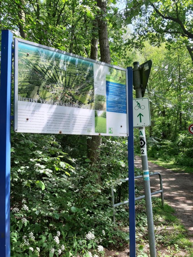 Ferienwohnung Am Ostfriesland-Wanderweg Rhauderfehn Экстерьер фото